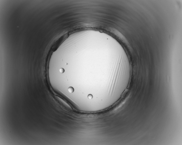 X0000088050930200706081626