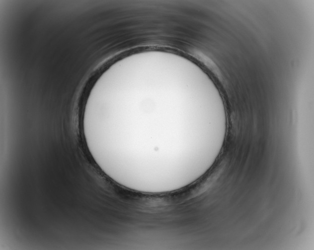 X0000088050931200706081626