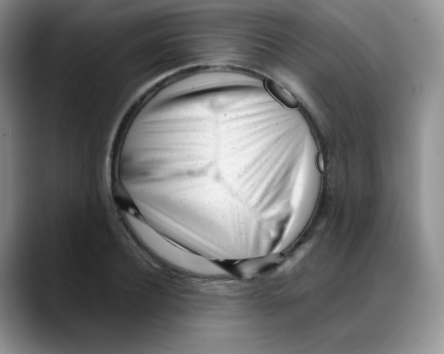 X0000088050932200706081626
