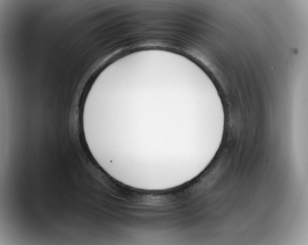 X0000088050933200706081626