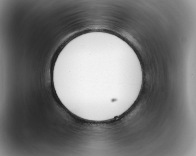 X0000088050934200706081626