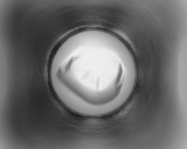 X0000088050935200706081626