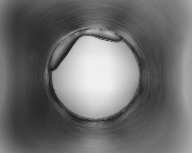 X0000088050936200706081626