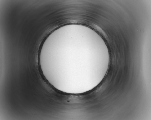 X0000088050938200706081626