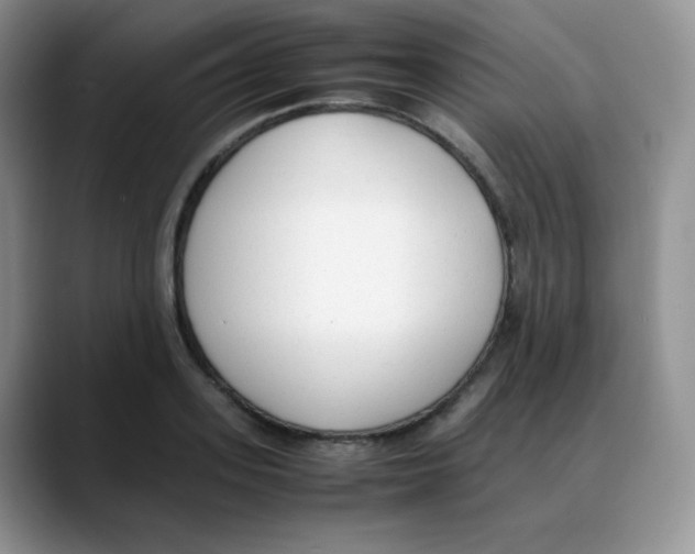 X0000088050939200706081626