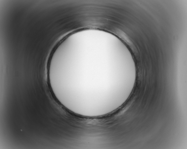 X0000088050940200706081626