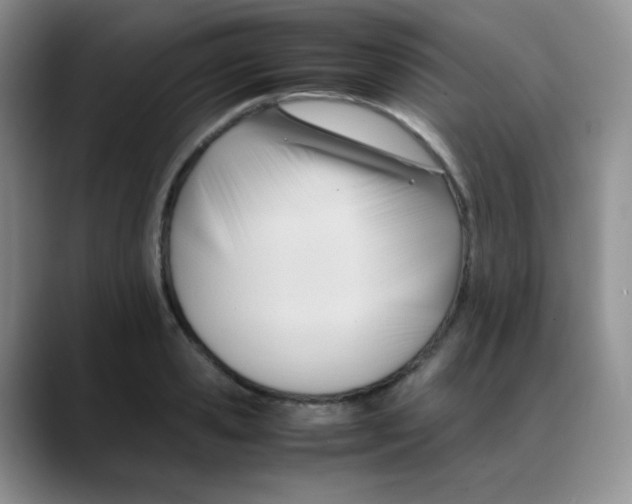 X0000088050941200706081626