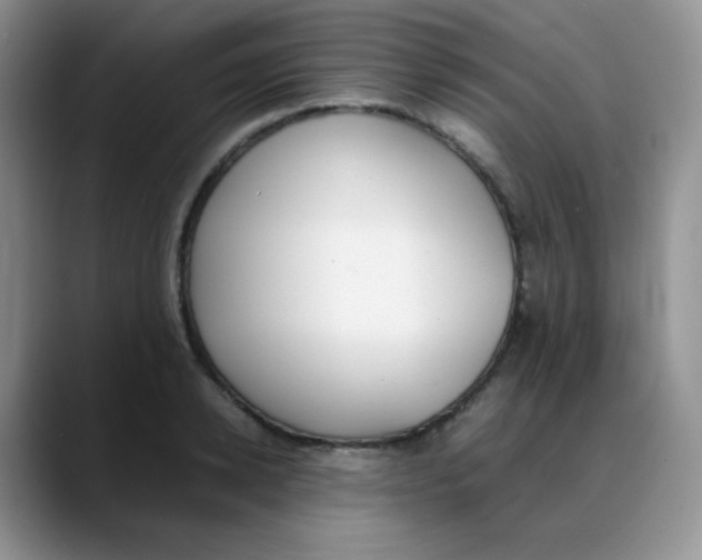 X0000088050942200706081626