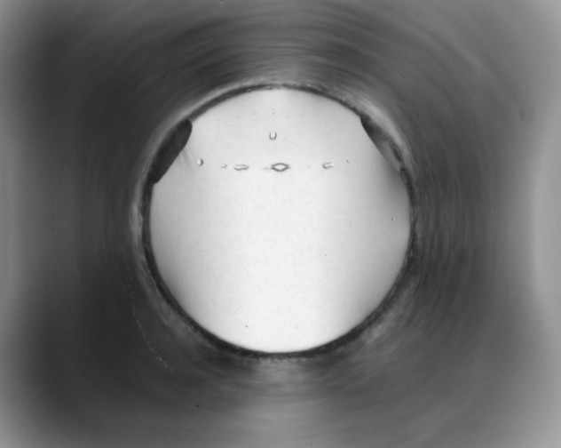 X0000088050944200706081626