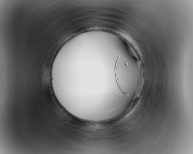 X0000088050945200706081626