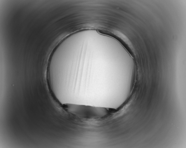 X0000088050946200706081626