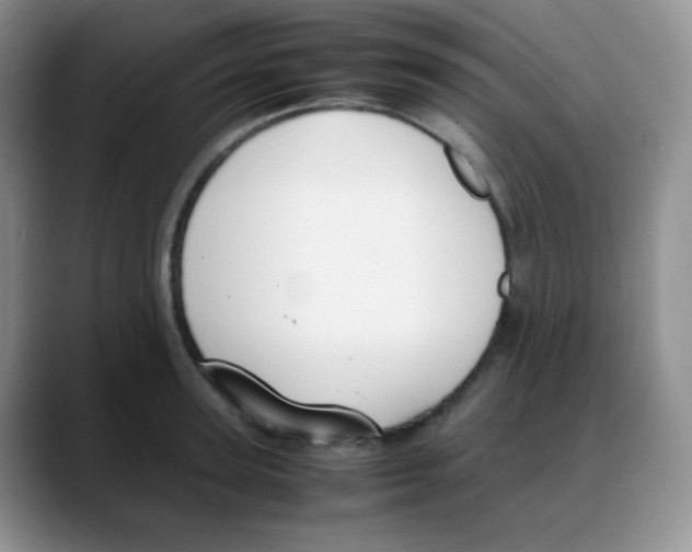 X0000088050947200706081626