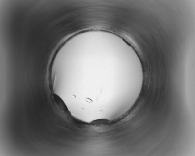 X0000088050948200706081627