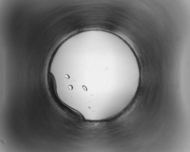 X0000088050949200706081627