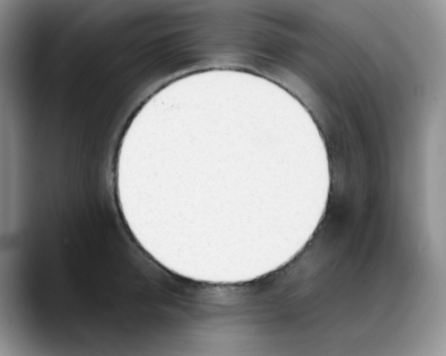 X0000088050950200706081627