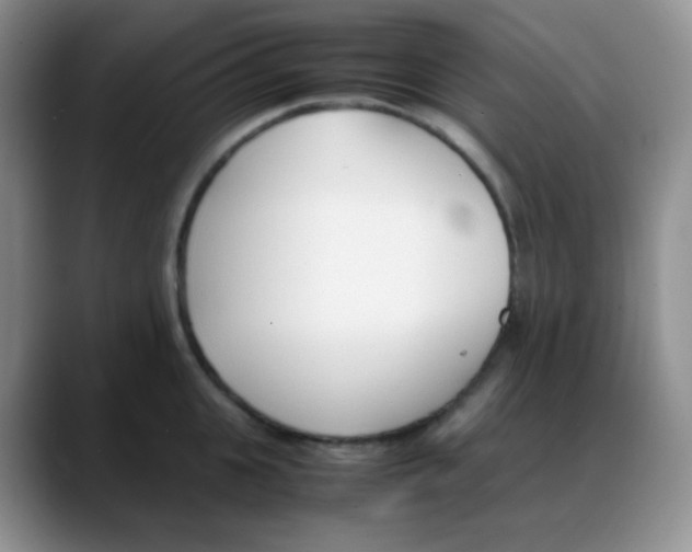 X0000088050951200706081627