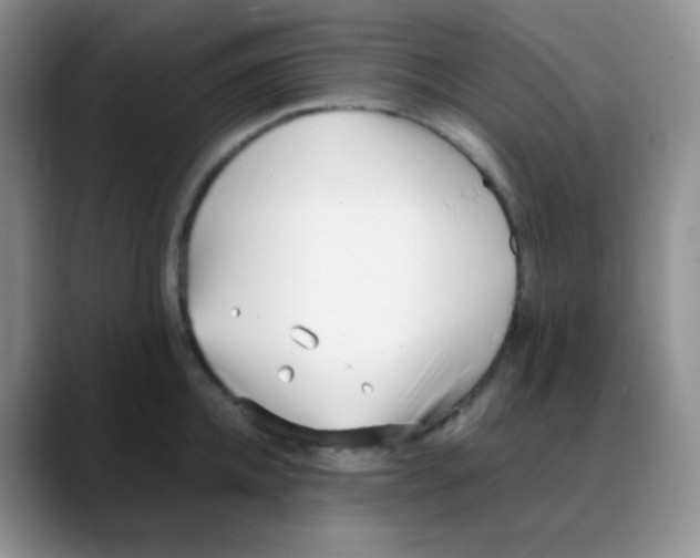 X0000088050952200706081627