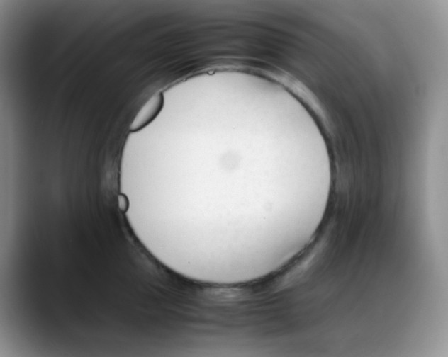 X0000088050953200706081627
