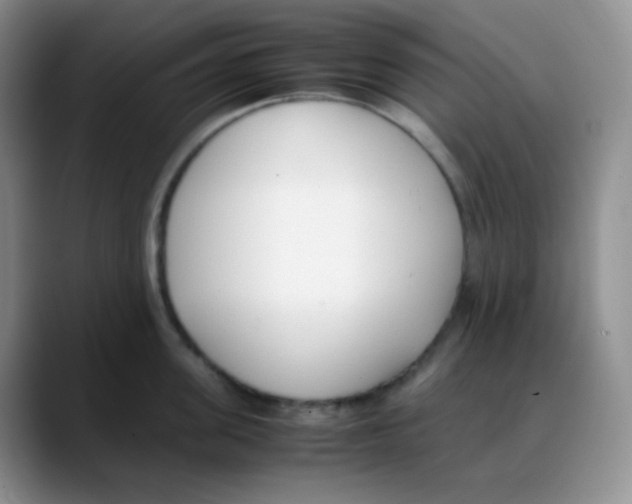 X0000088050955200706081627