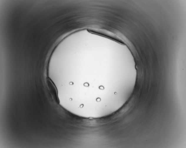 X0000088050956200706081627