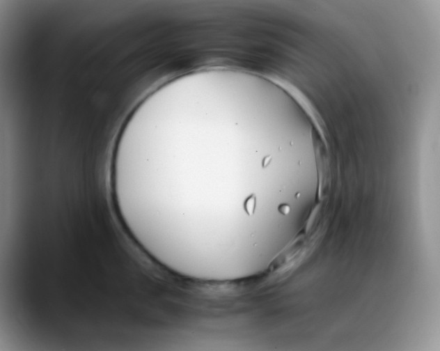 X0000088050957200706081627