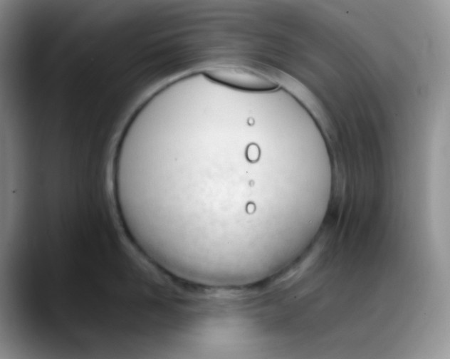 X0000088050958200706081627