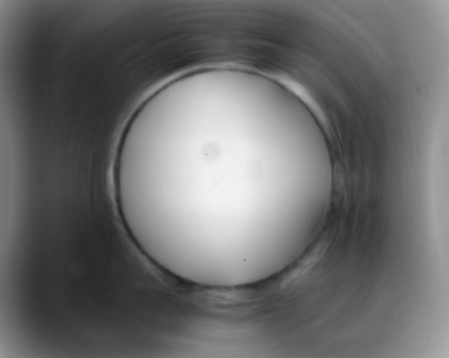 X0000088050959200706081627