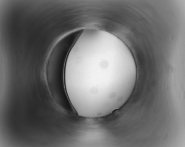 X0000088050960200706081627