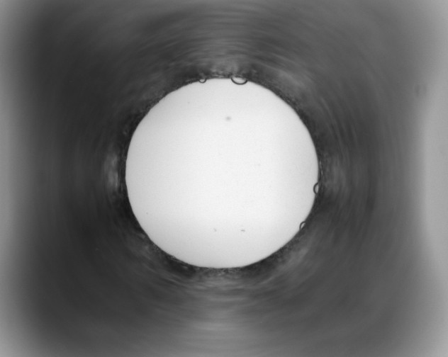 X0000088050962200706081626