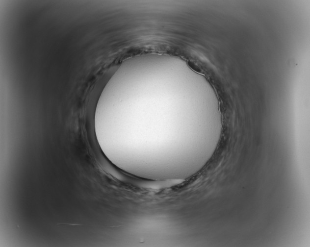 X0000088050965200706081626