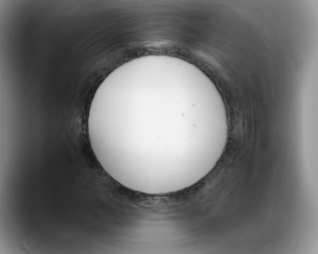X0000088050966200706081626