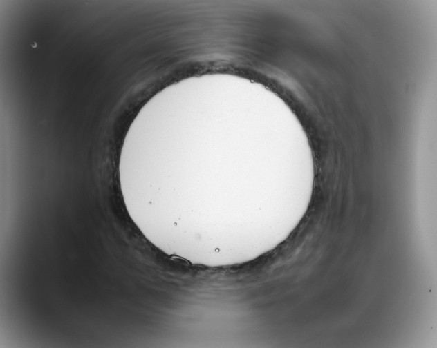 X0000088050967200706081626