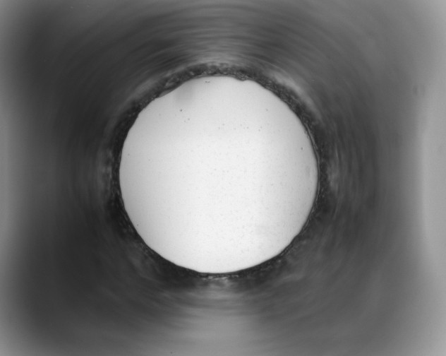 X0000088050968200706081626