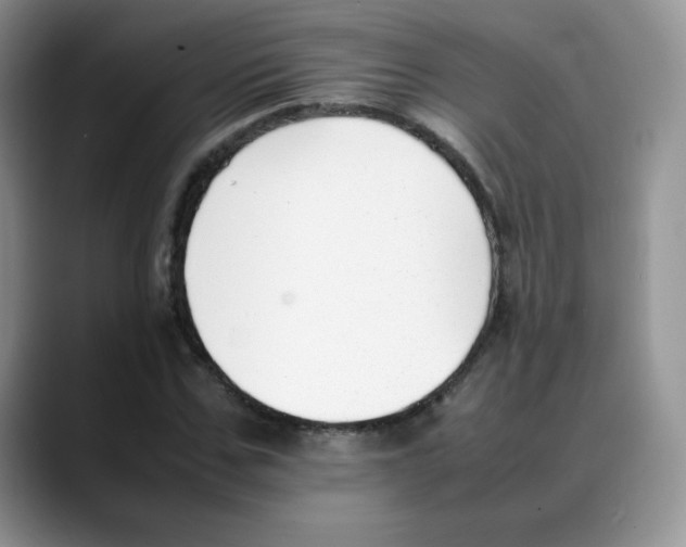 X0000088050971200706081626