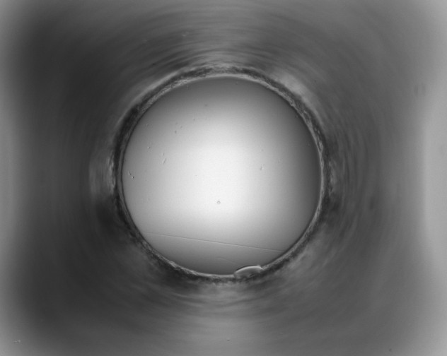 X0000088050973200706081626