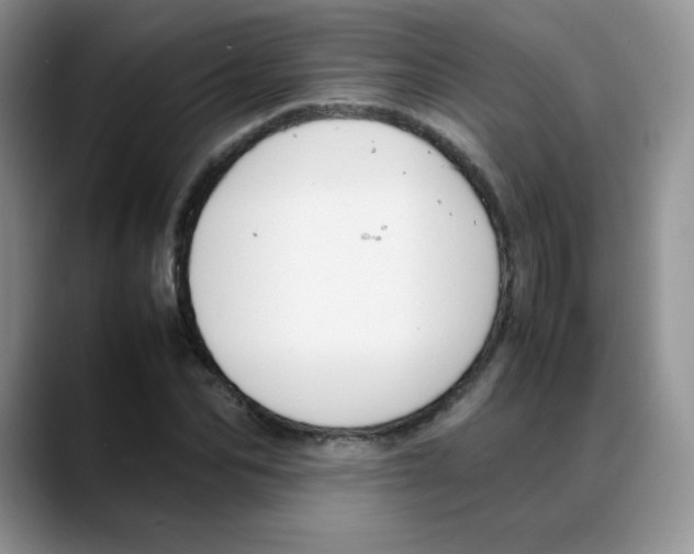X0000088050974200706081626