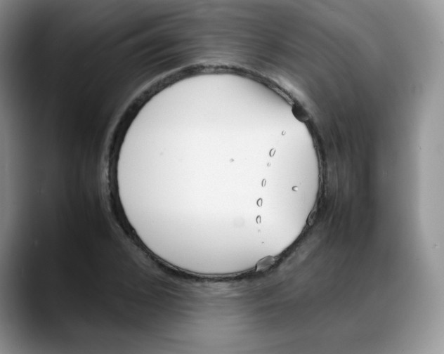 X0000088050976200706081626