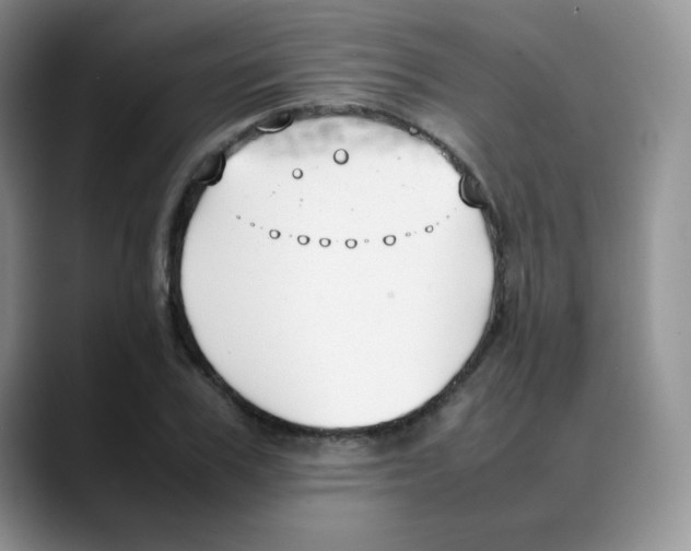 X0000088050979200706081626