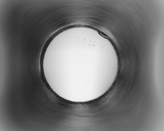 X0000088050980200706081626