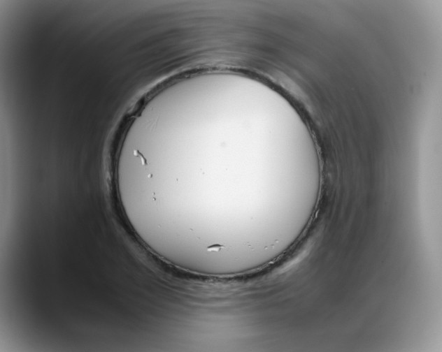 X0000088050981200706081626