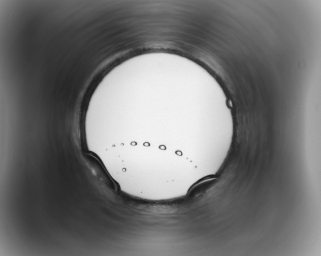 X0000088050984200706081626