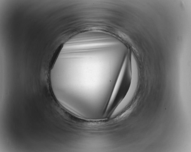 X0000088050985200706081626