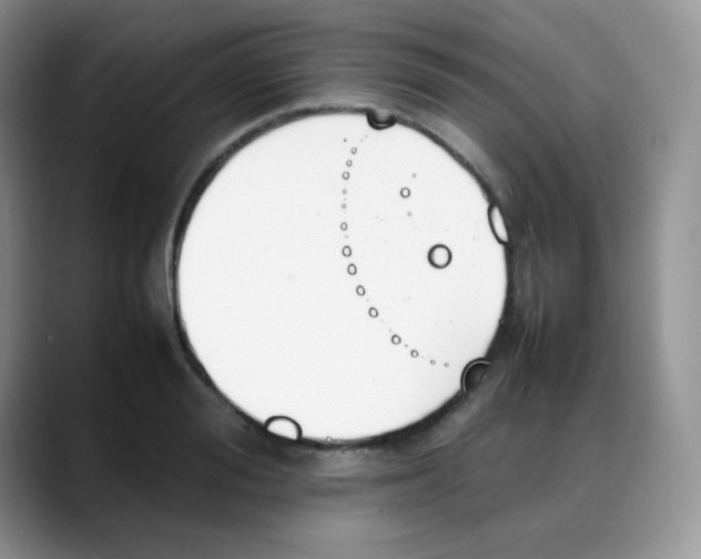 X0000088050988200706081626