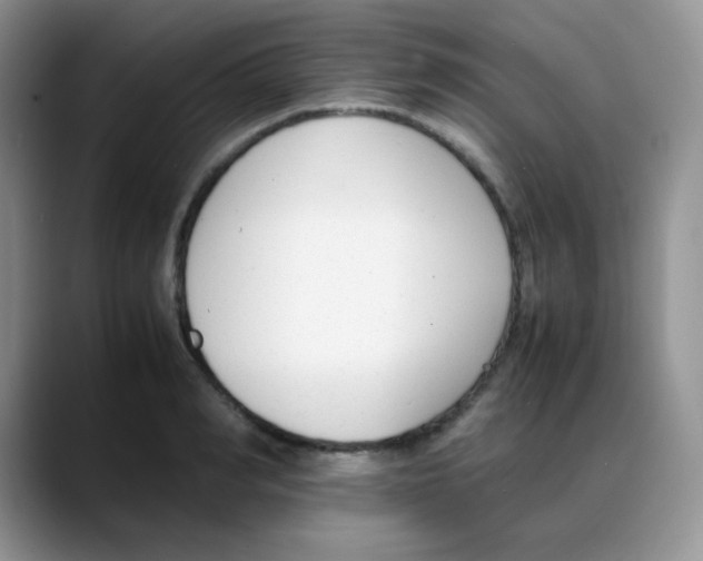 X0000088050990200706081626