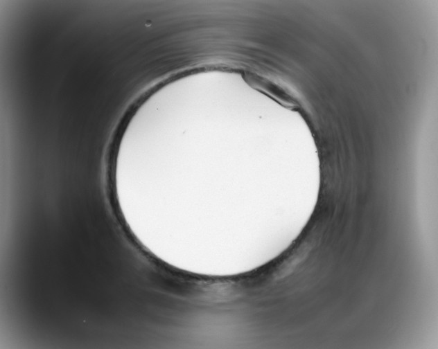 X0000088050991200706081626