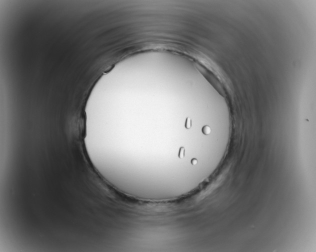 X0000088050993200706081626