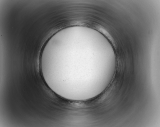 X0000088050994200706081626