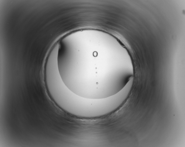 X0000088050996200706081626