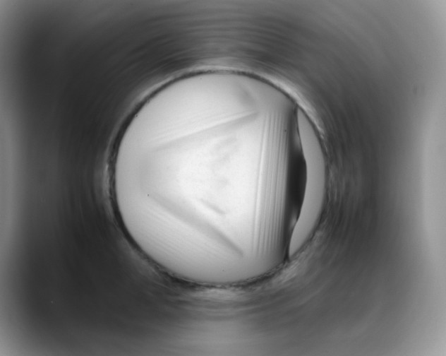 X0000088050998200706081626