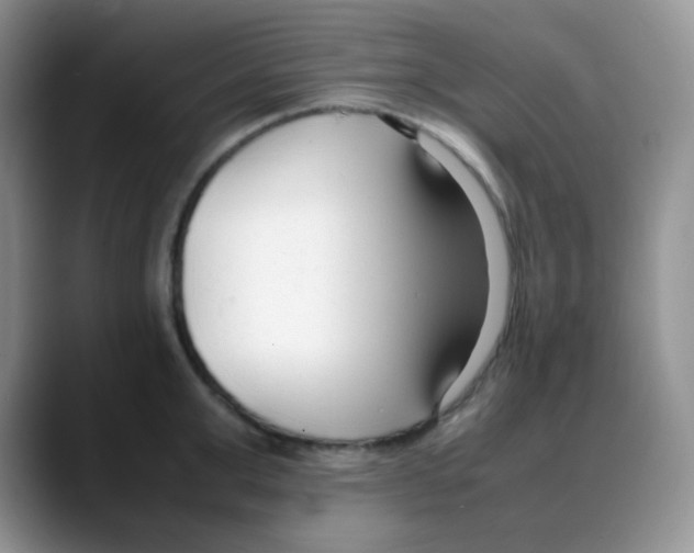 X0000088050999200706081626